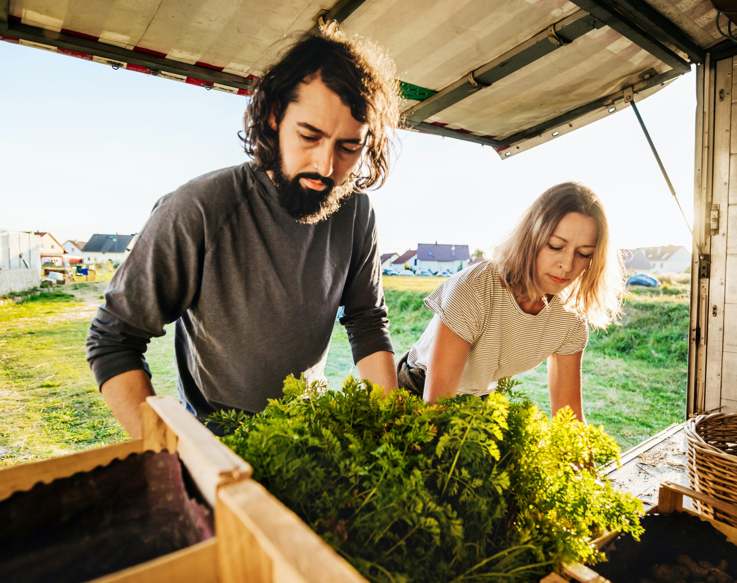 A couple of urban farmers are loading crates of various freshly harvested goods onto a truck, getting ready to take them to the market.