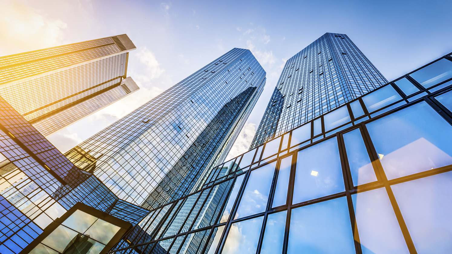 View of glass skyscrapers from the ground.